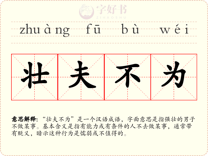 壮夫不为
