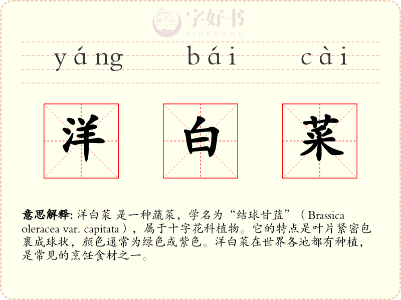 洋白菜