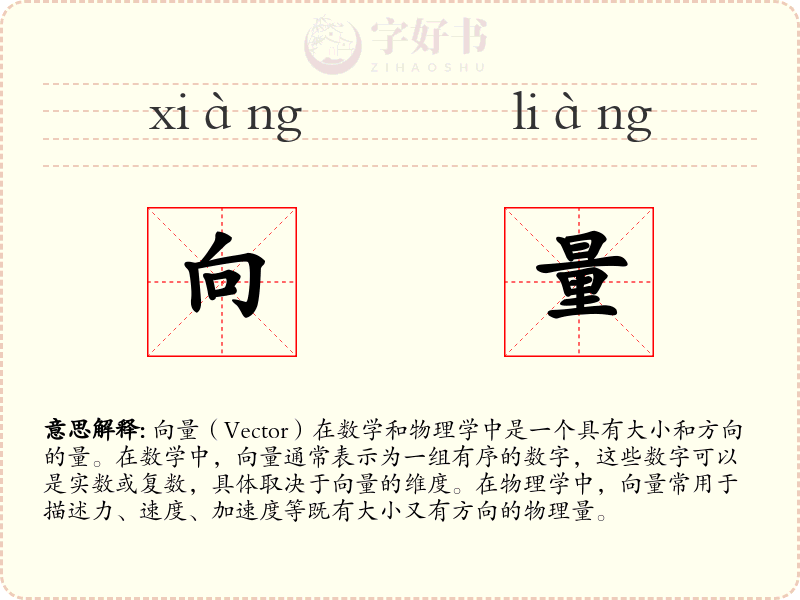 向量