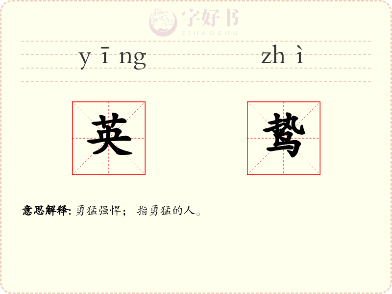 英鸷