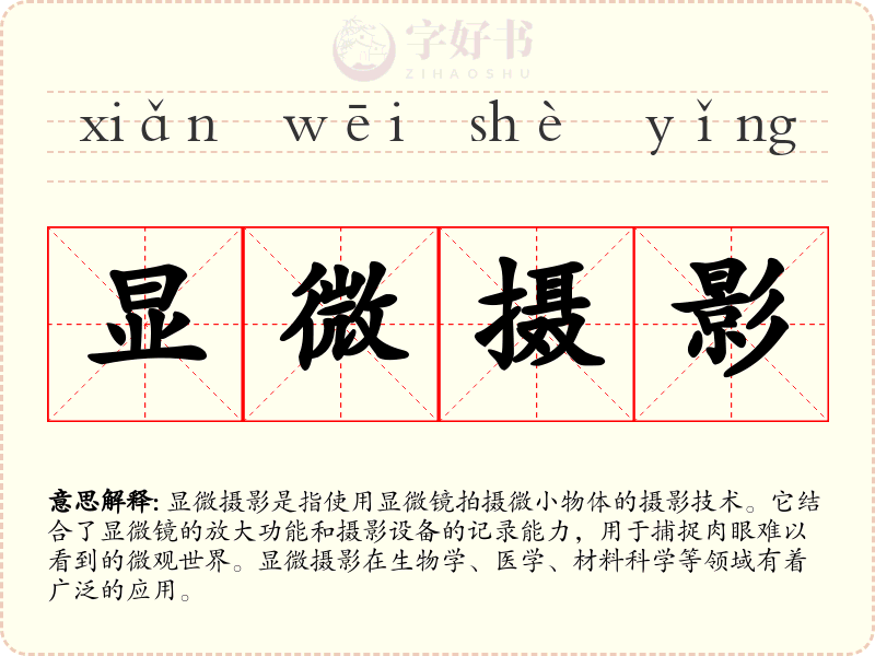 显微摄影