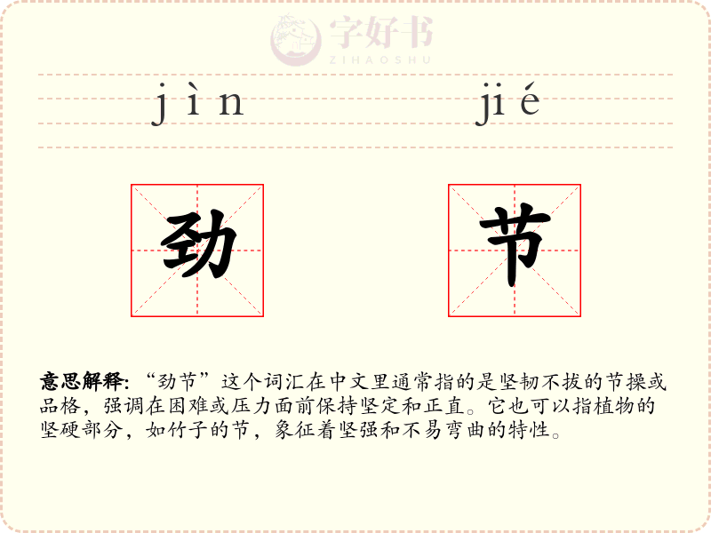 劲节