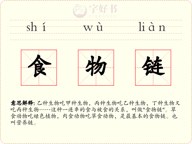 食物链