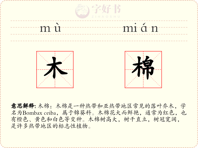 木棉