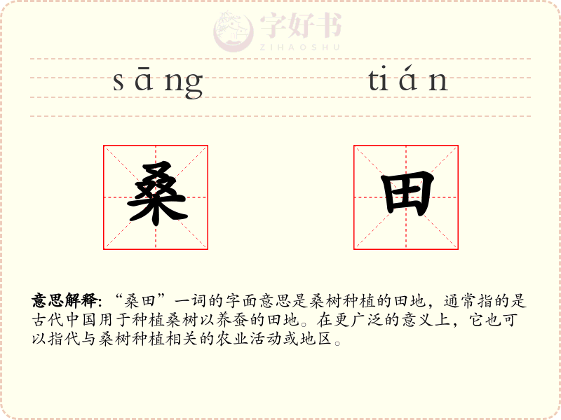 桑田
