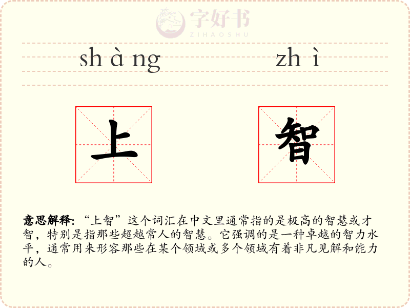 上智