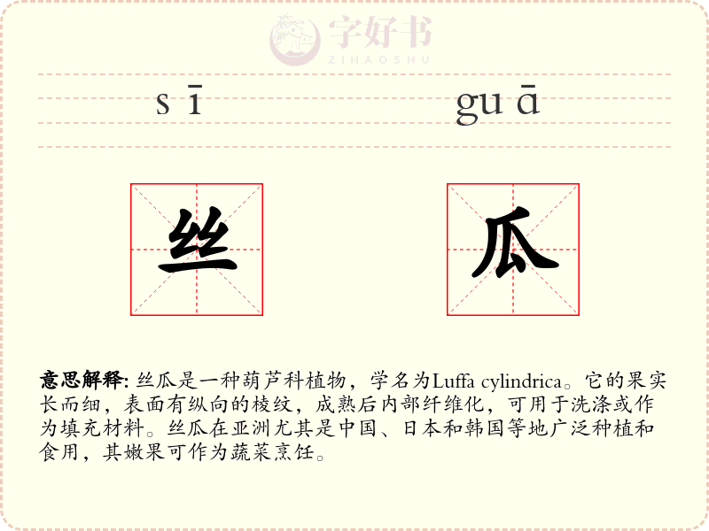 丝瓜