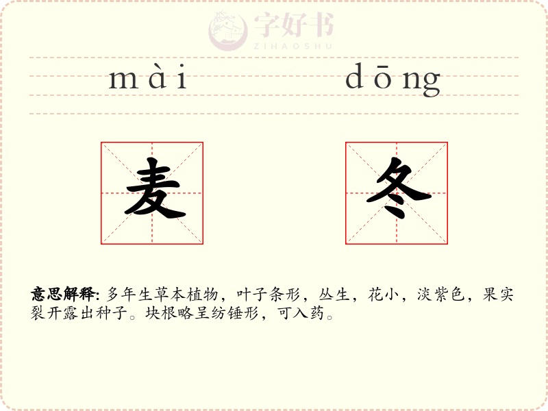 麦冬