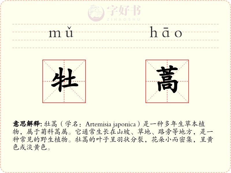 牡蒿