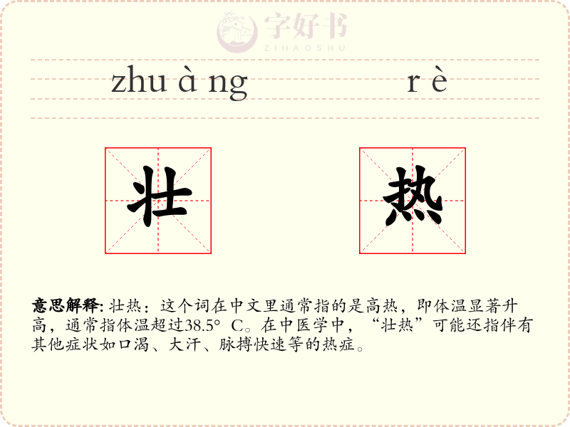 壮热