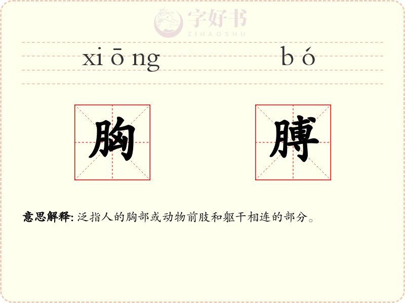 胸膊