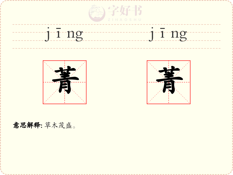 菁菁