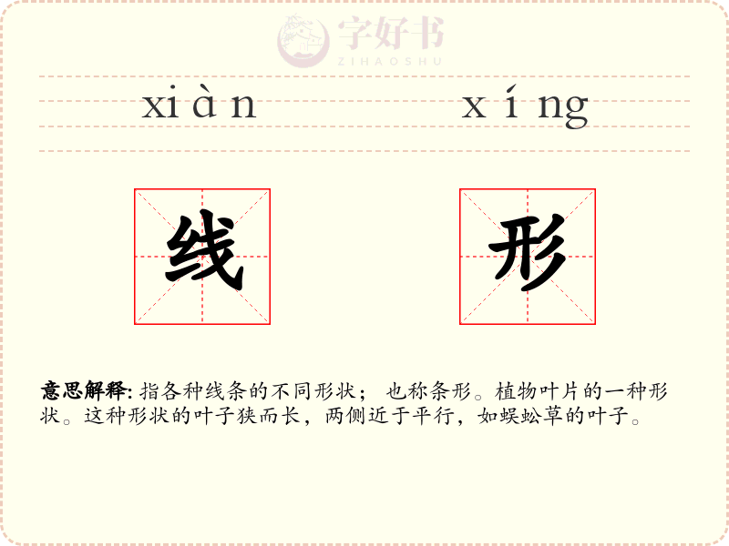 线形