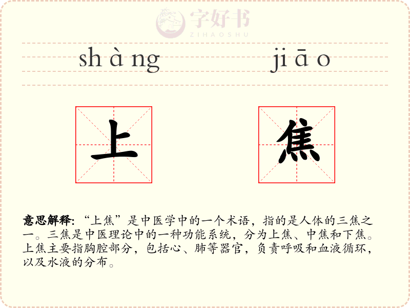 上焦