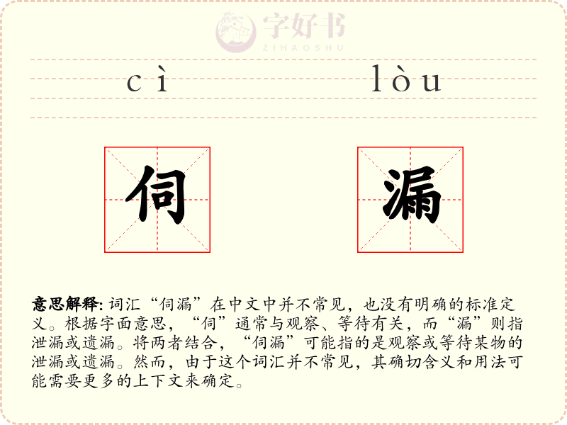 伺漏