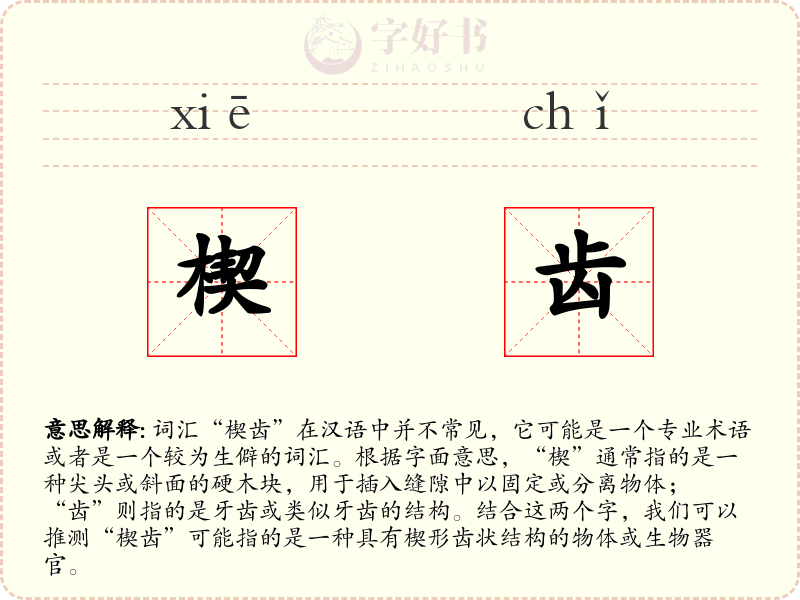 楔齿