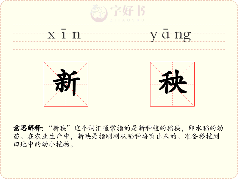新秧