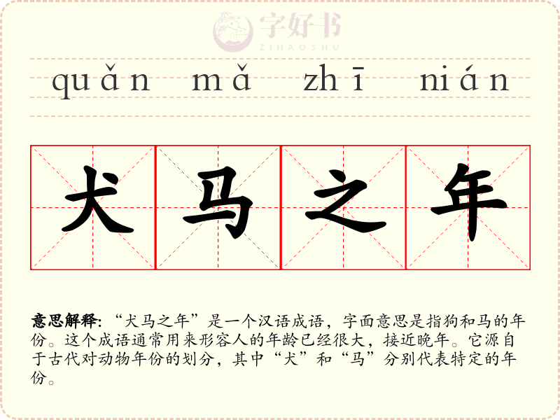 犬马之年