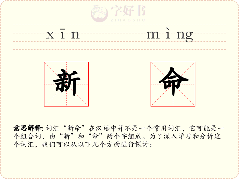 新命