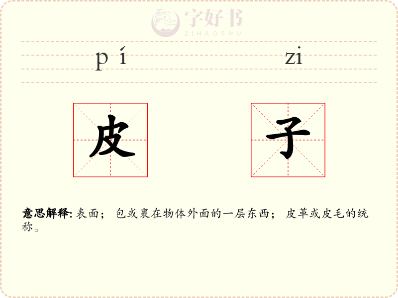 皮子