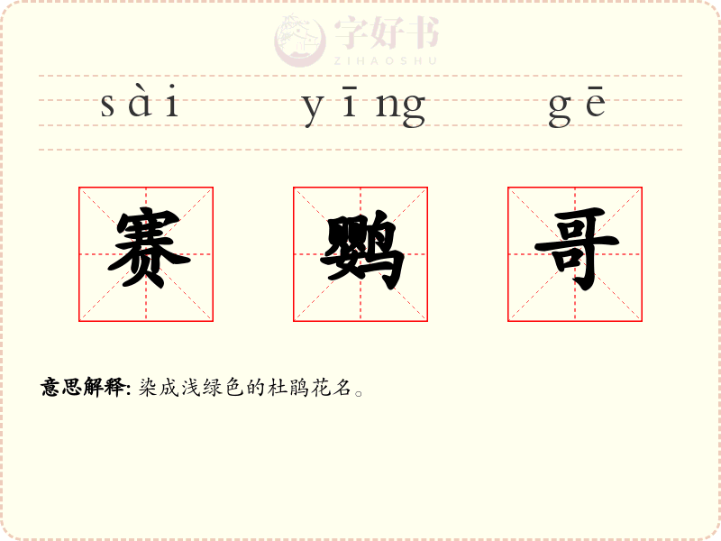 赛鹦哥