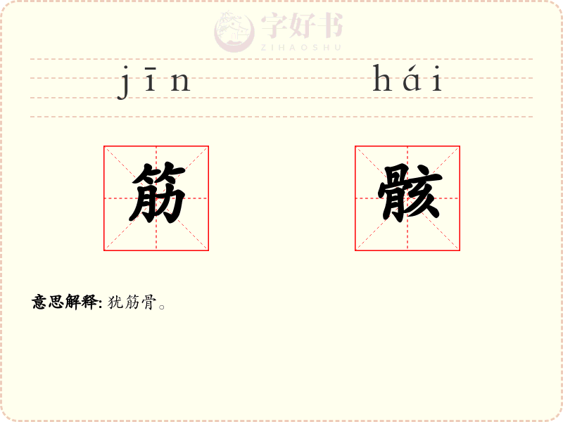 筋骸