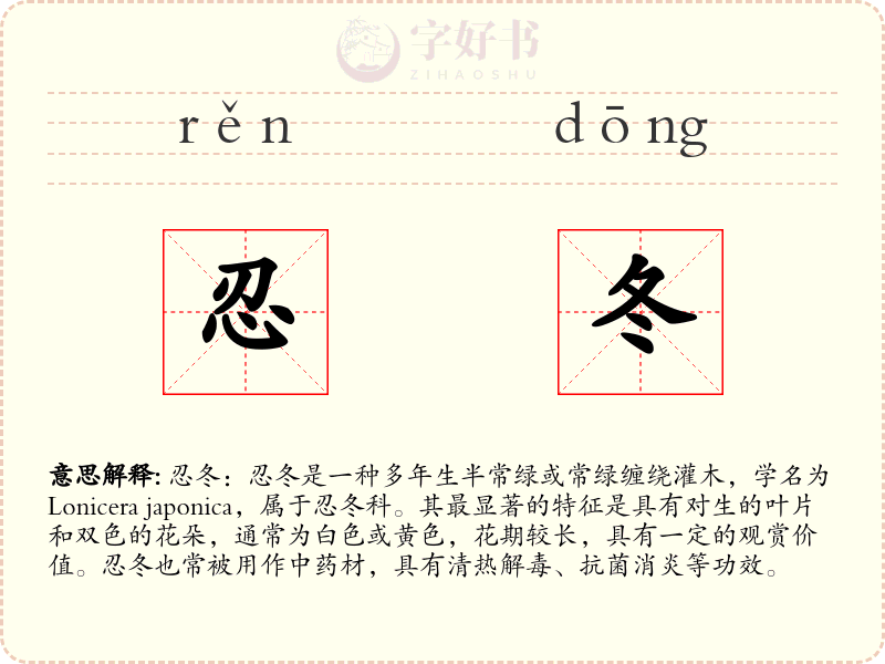 忍冬