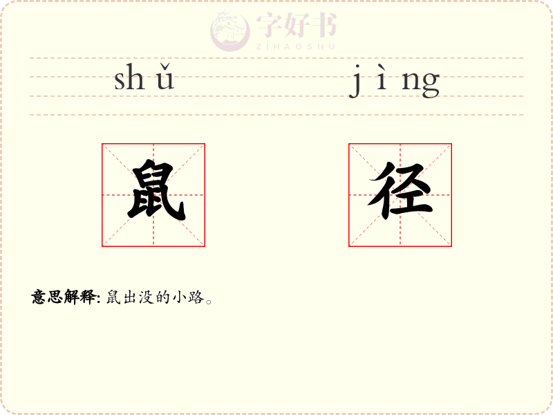 鼠径