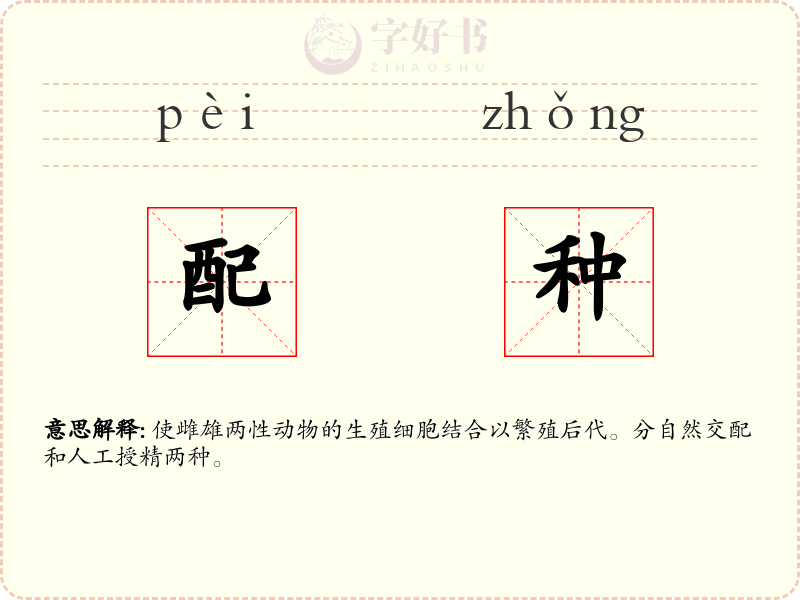 配种