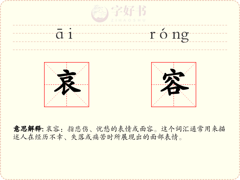 哀容