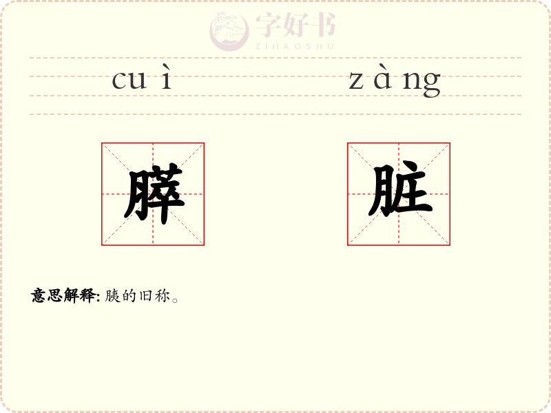 膵脏