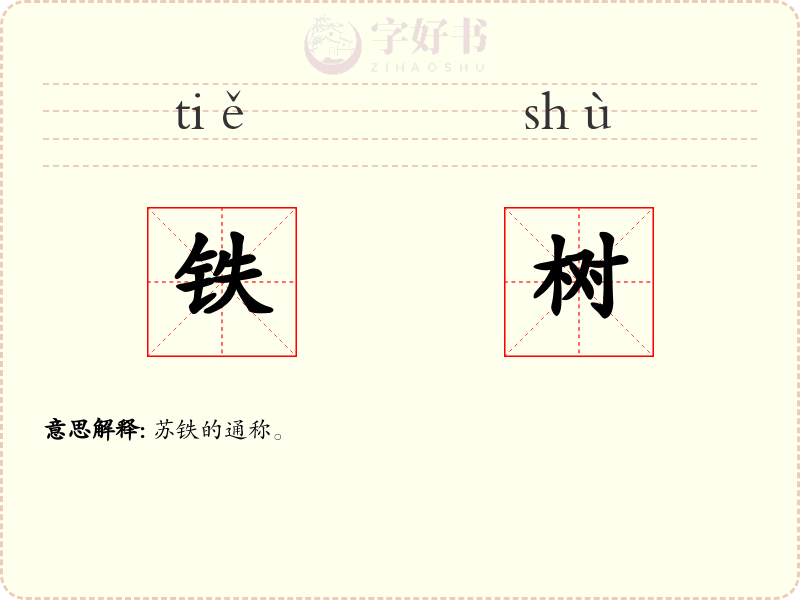 铁树
