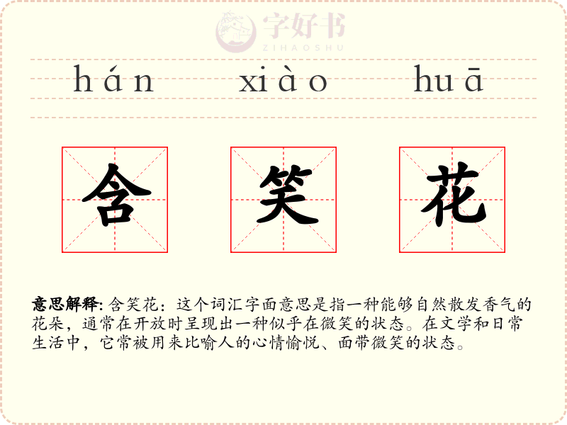 含笑花