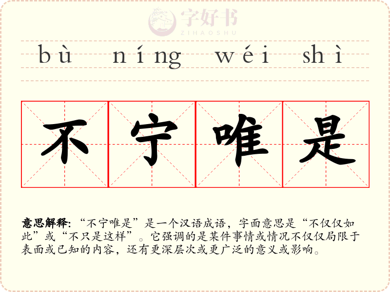 不宁唯是