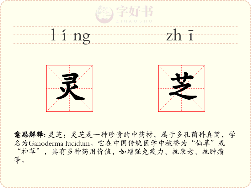 灵芝