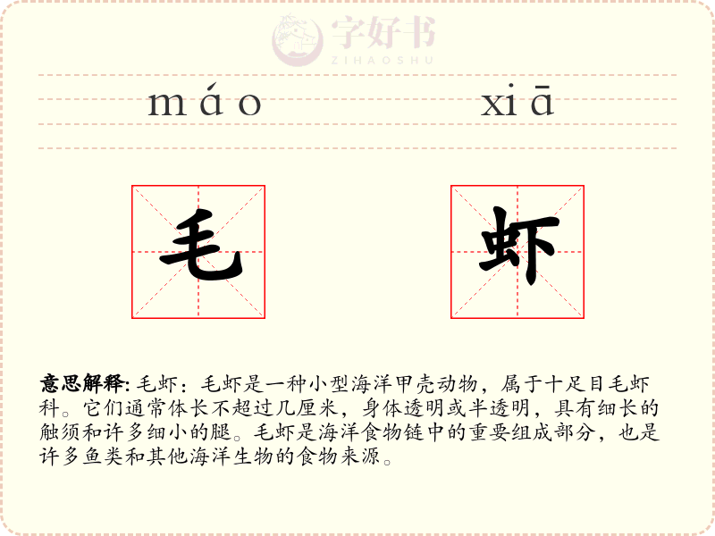 毛虾