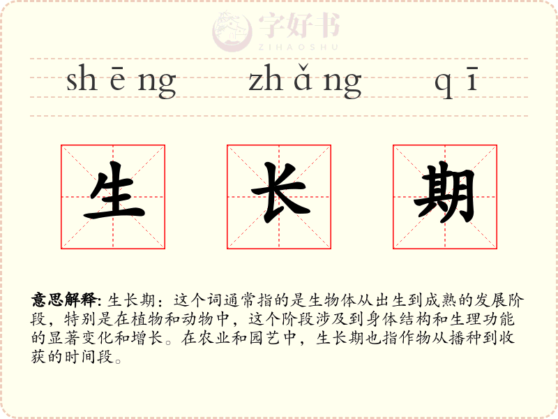 生长期