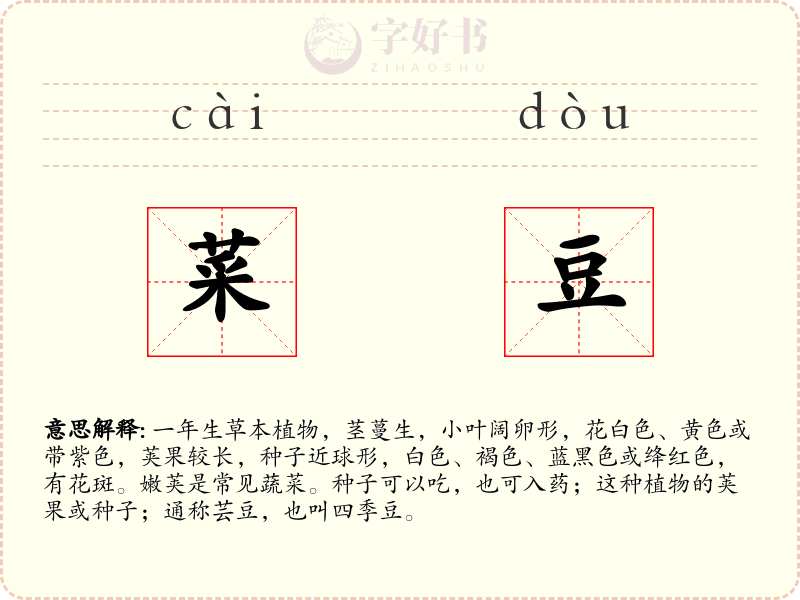 菜豆