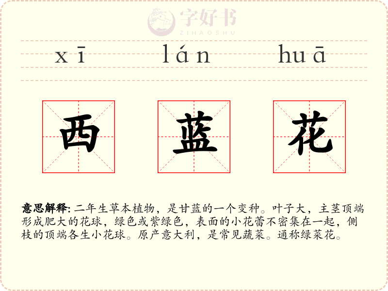 西蓝花