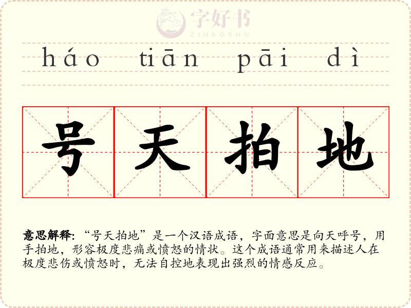 号天拍地