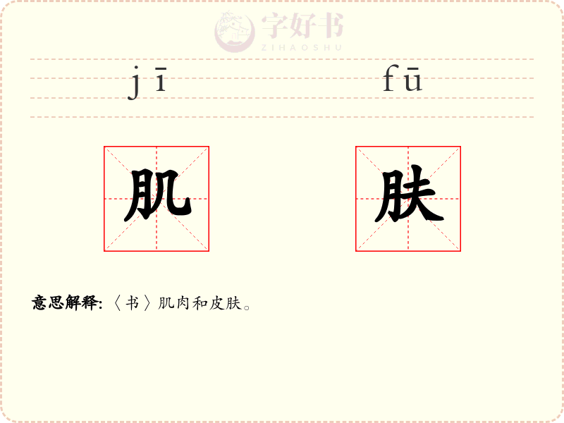 肌肤