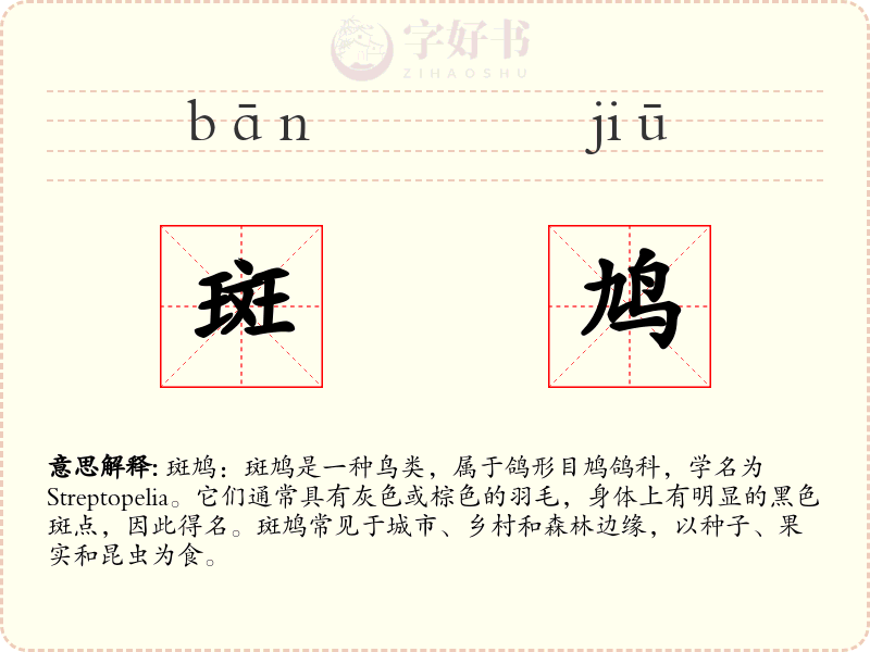 斑鸠