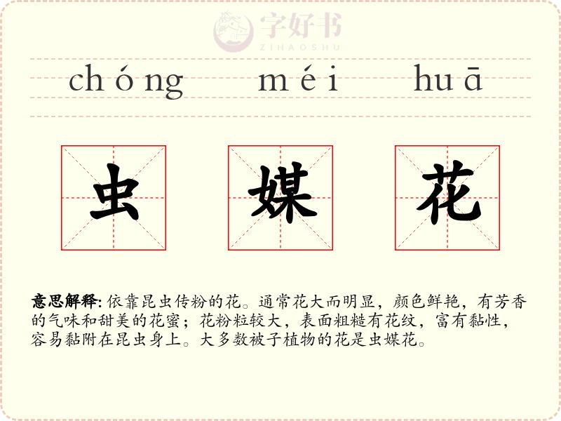 虫媒花