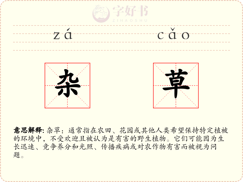 杂草