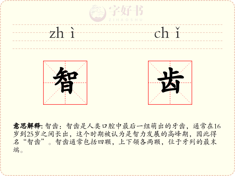 智齿