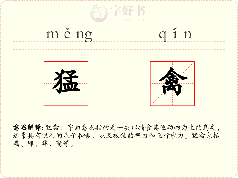 猛禽