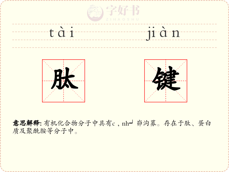 肽键