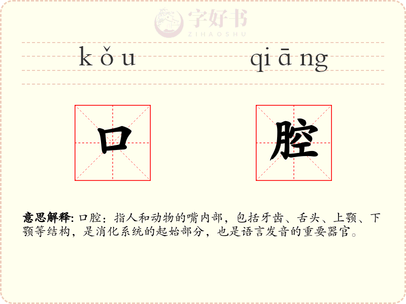 口腔