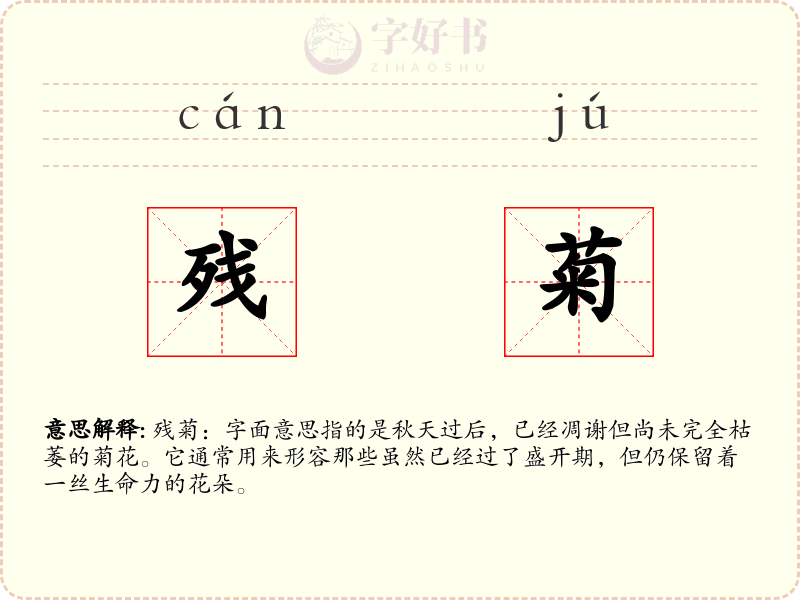残菊
