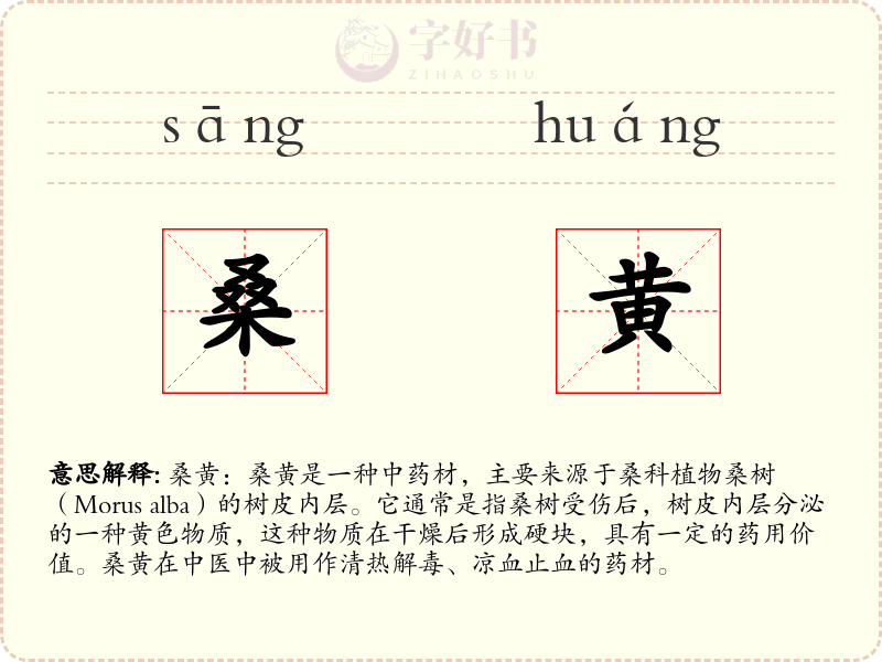 桑黄